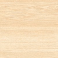 Керамогранит Buono Ceramic Forest Mist Matt