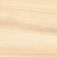 Керамогранит Buono Ceramic Forest Mist Matt